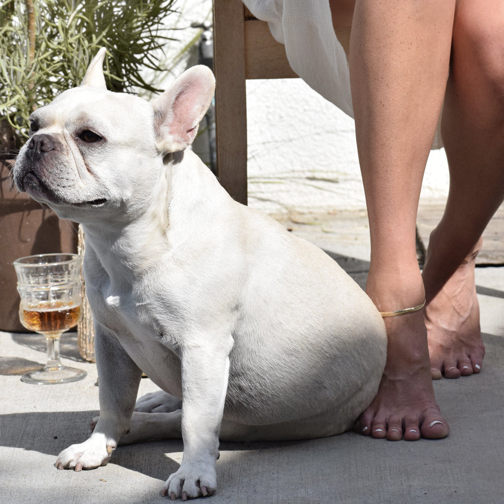 Golden Hour Anklet