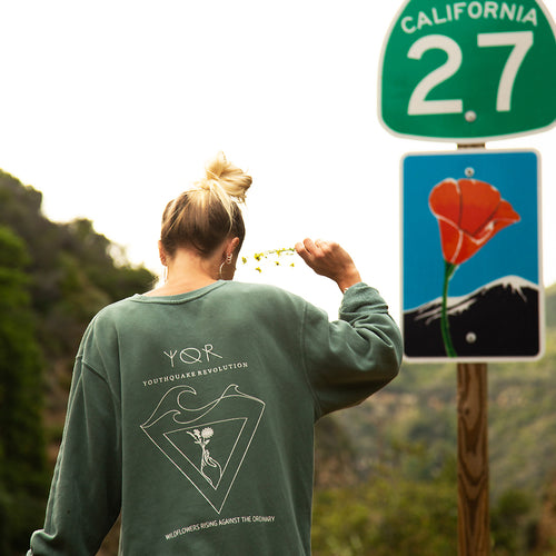 sundown sweatshirt - wildflowers - back